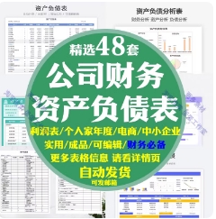 公司财务管理资产负债表格利润表简约可视化个人家庭网店商预算