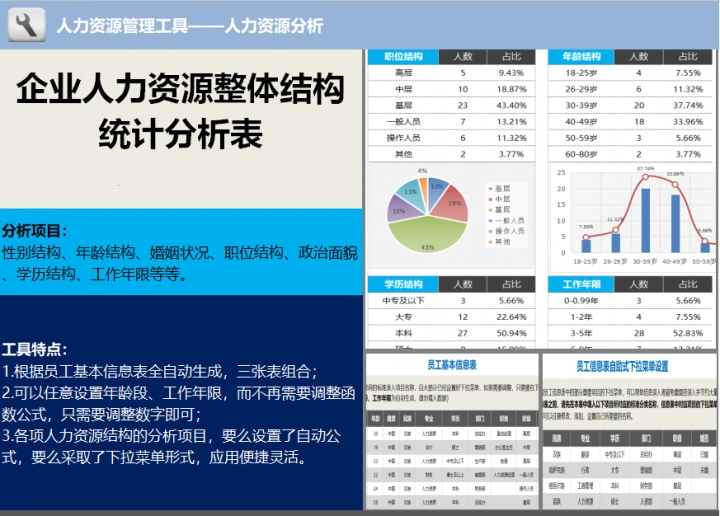  企业人力资源整体结构统计分析表excel表格模板