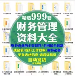 公司财务报表制度管理费用收入支出明细记账报销资料利润模板系统